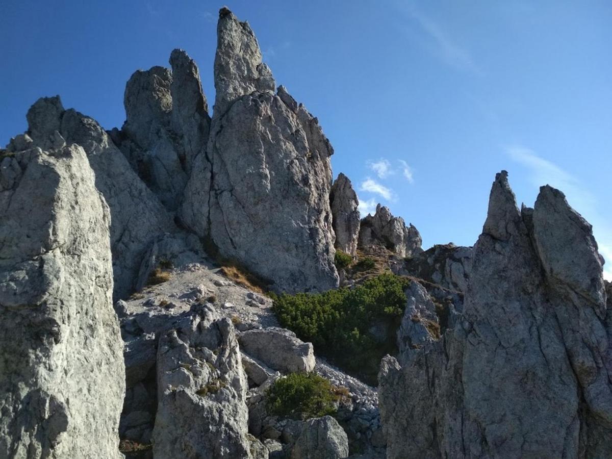 Villa Liptovmara Izipovce Luaran gambar